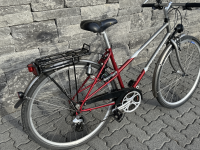Villiger Bedretto